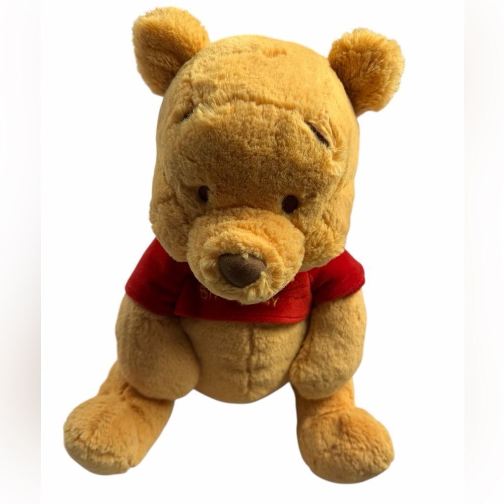 Disney Winnie the Pooh “Baby’s 1st Birthday” 12” plush (inside rattle)